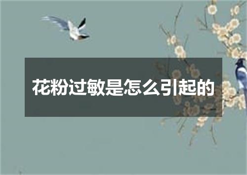 花粉过敏是怎么引起的