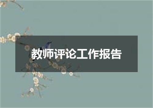 教师评论工作报告