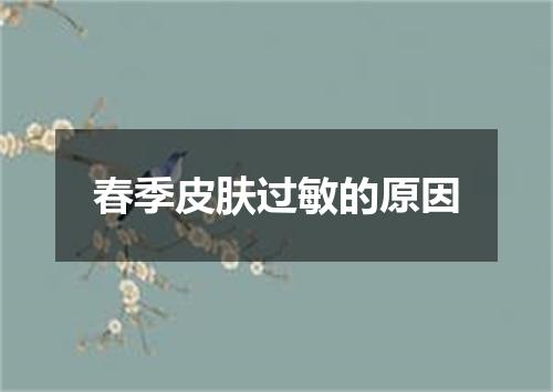 春季皮肤过敏的原因