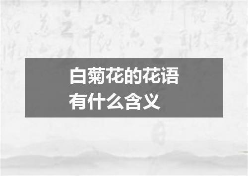 白菊花的花语有什么含义