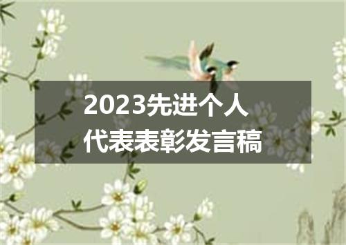 2023先进个人代表表彰发言稿