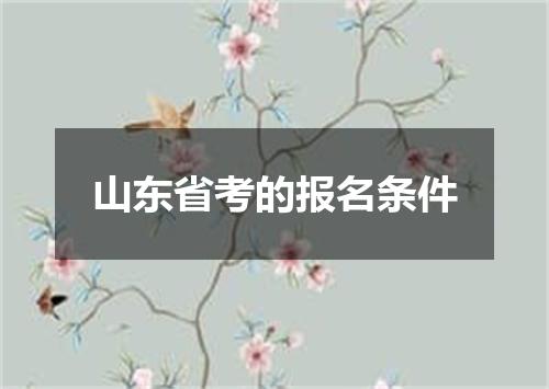 山东省考的报名条件