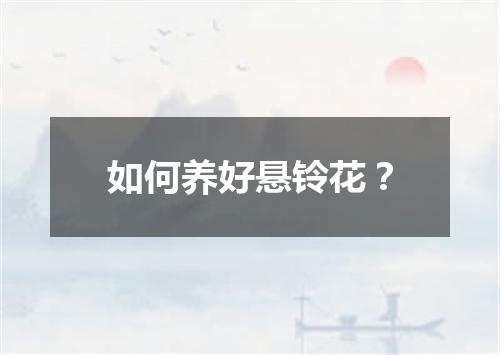 如何养好悬铃花？