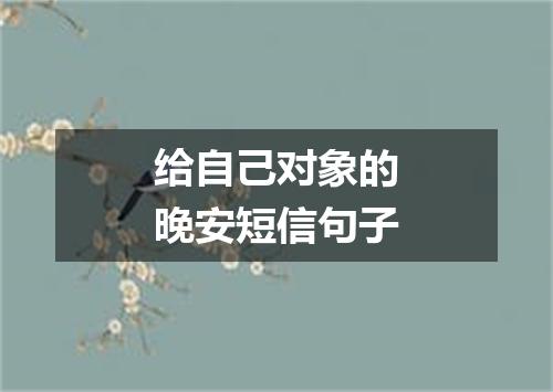 给自己对象的晚安短信句子