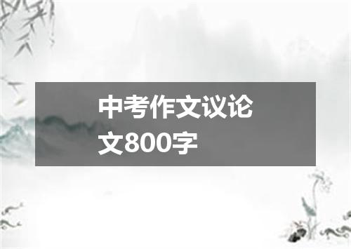 中考作文议论文800字
