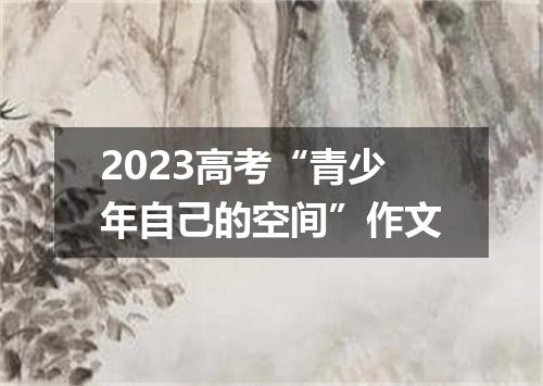 2023高考“青少年自己的空间”作文