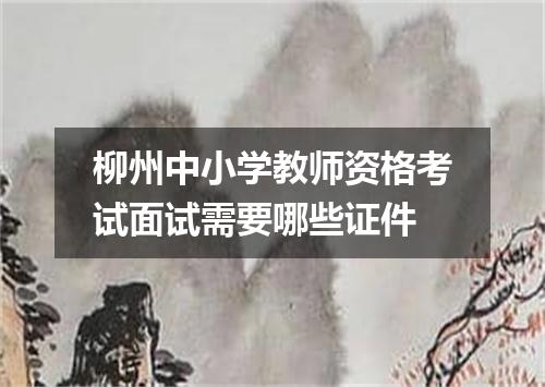 柳州中小学教师资格考试面试需要哪些证件