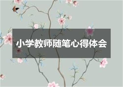 小学教师随笔心得体会