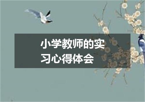 小学教师的实习心得体会