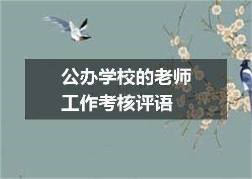 公办学校的老师工作考核评语