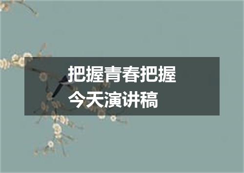 把握青春把握今天演讲稿