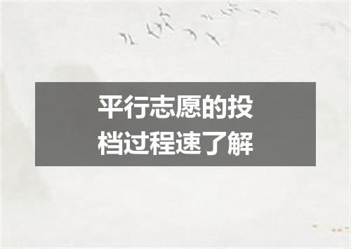 平行志愿的投档过程速了解