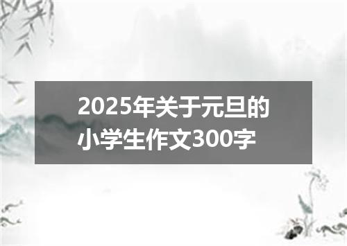 2025年关于元旦的小学生作文300字