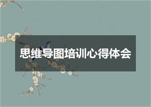 思维导图培训心得体会
