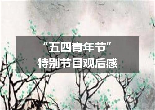 “五四青年节”特别节目观后感