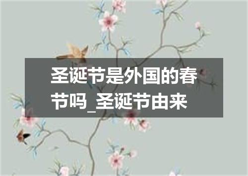 圣诞节是外国的春节吗_圣诞节由来
