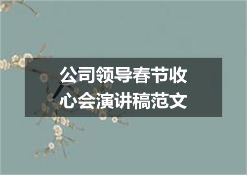 公司领导春节收心会演讲稿范文