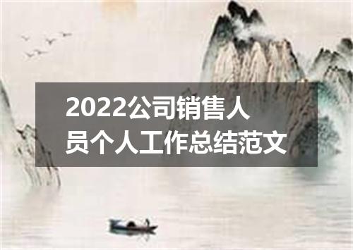 2022公司销售人员个人工作总结范文