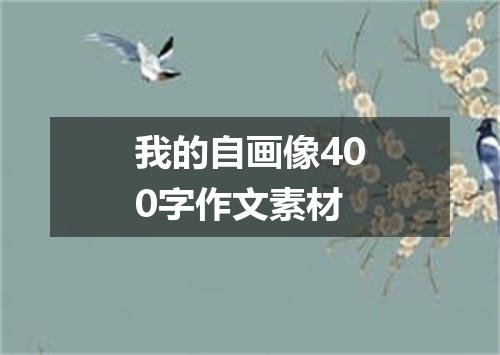 我的自画像400字作文素材