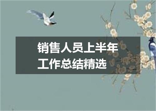 销售人员上半年工作总结精选
