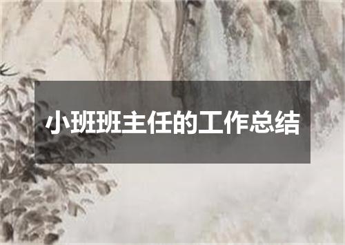 小班班主任的工作总结