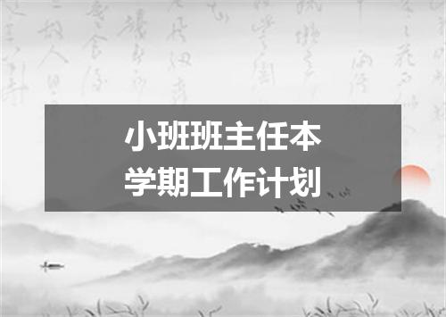 小班班主任本学期工作计划