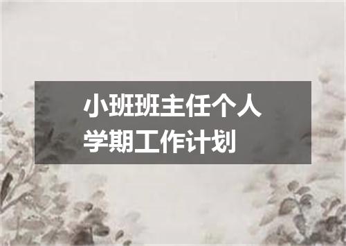 小班班主任个人学期工作计划