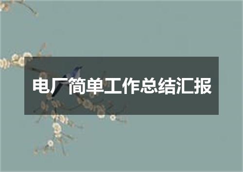 电厂简单工作总结汇报