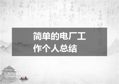 简单的电厂工作个人总结
