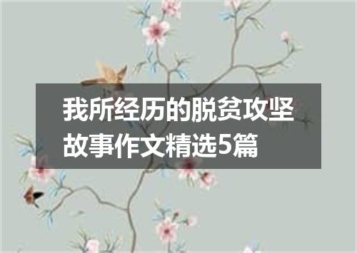 我所经历的脱贫攻坚故事作文精选5篇