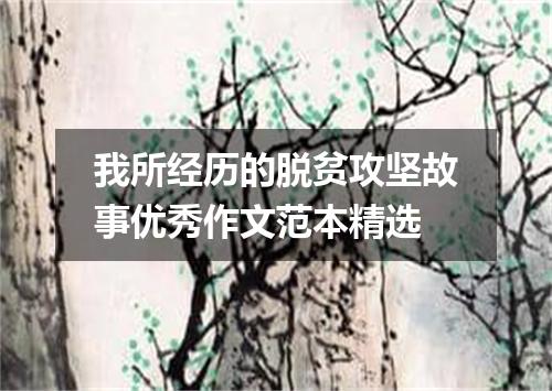 我所经历的脱贫攻坚故事优秀作文范本精选