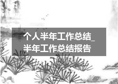 个人半年工作总结_半年工作总结报告