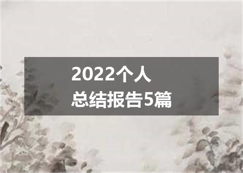 2022个人总结报告5篇