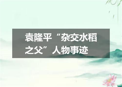 袁隆平“杂交水稻之父”人物事迹