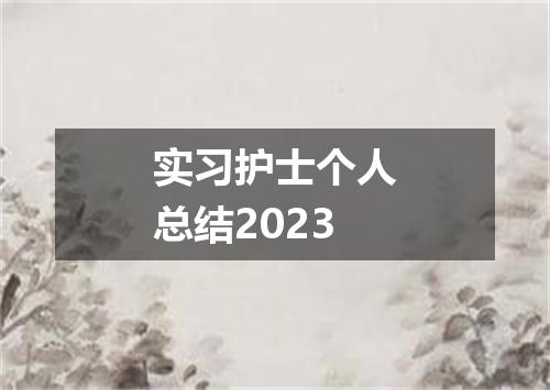 实习护士个人总结2023