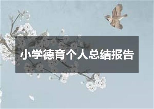 小学德育个人总结报告