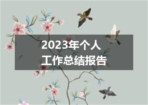 2023年个人工作总结报告