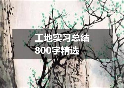 工地实习总结800字精选