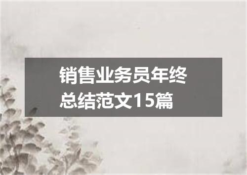 销售业务员年终总结范文15篇