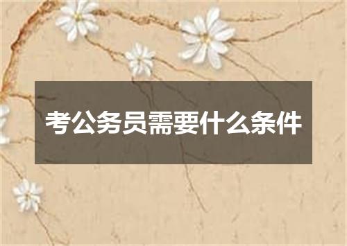 考公务员需要什么条件