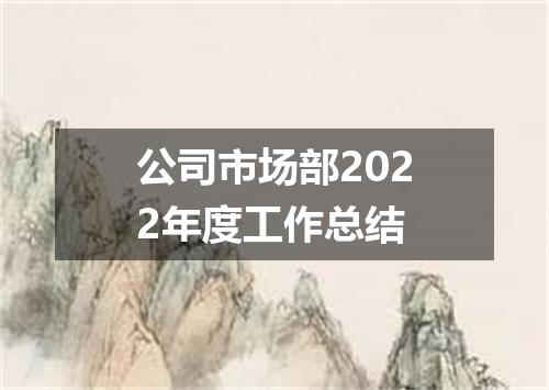 公司市场部2022年度工作总结