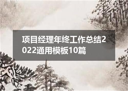 项目经理年终工作总结2022通用模板10篇