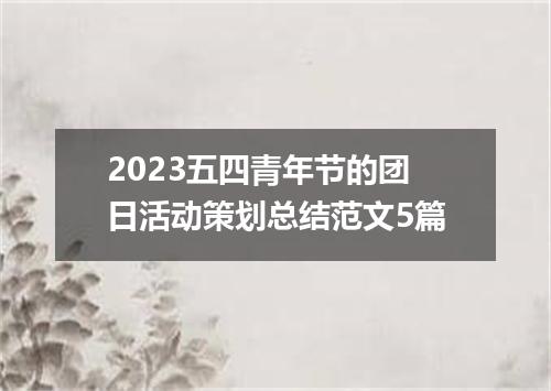 2023五四青年节的团日活动策划总结范文5篇