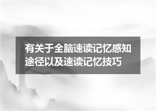 有关于全脑速读记忆感知途径以及速读记忆技巧