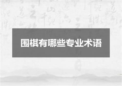 围棋有哪些专业术语