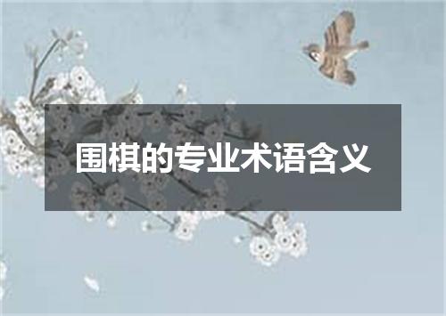 围棋的专业术语含义