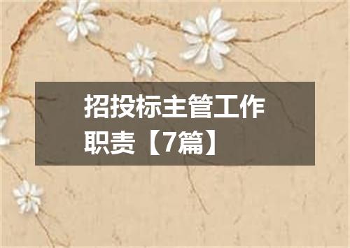 招投标主管工作职责【7篇】