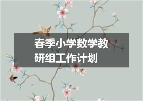 春季小学数学教研组工作计划