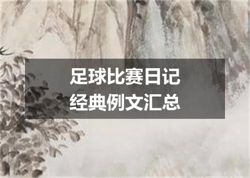 足球比赛日记经典例文汇总