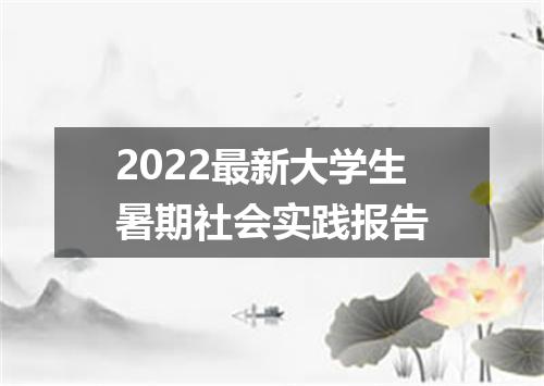 2022最新大学生暑期社会实践报告
